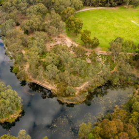 St Peters Billabong Aerial 2