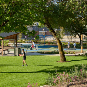 Burchell Reserve - NPSP Home Banner 1560x640px2