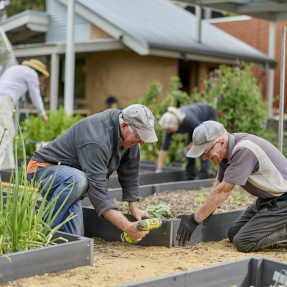NPSP Linde Community Garden 19