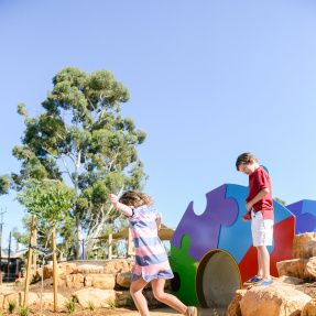 Payneham Oval Playground 5