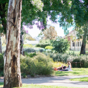 Dunstone Grove Picnic