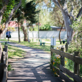 St Peters River Park bridge