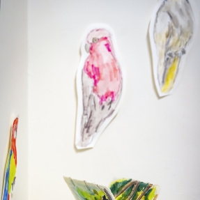 w-Nature Festival 2025