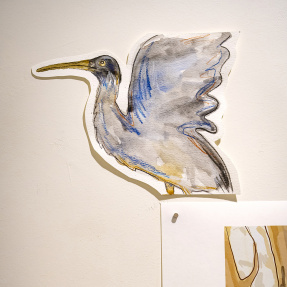 y-Nature Festival 2025