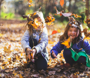 Garden Leaf Recycling