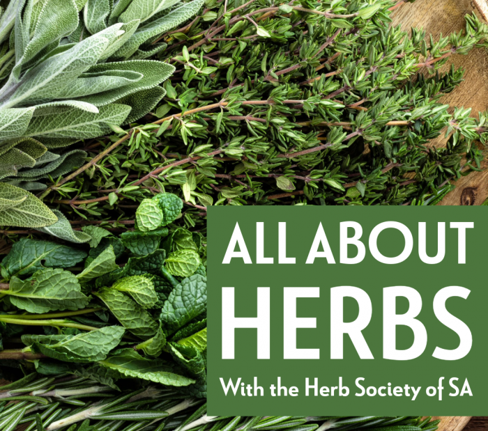 Image for All About Herbs with the Herb Society of SA