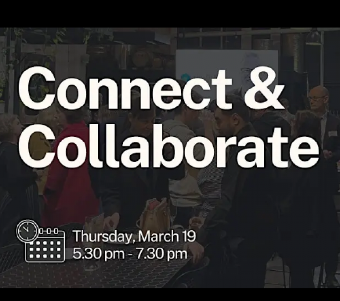 Image for Connect & Collaborate: Professional Networking