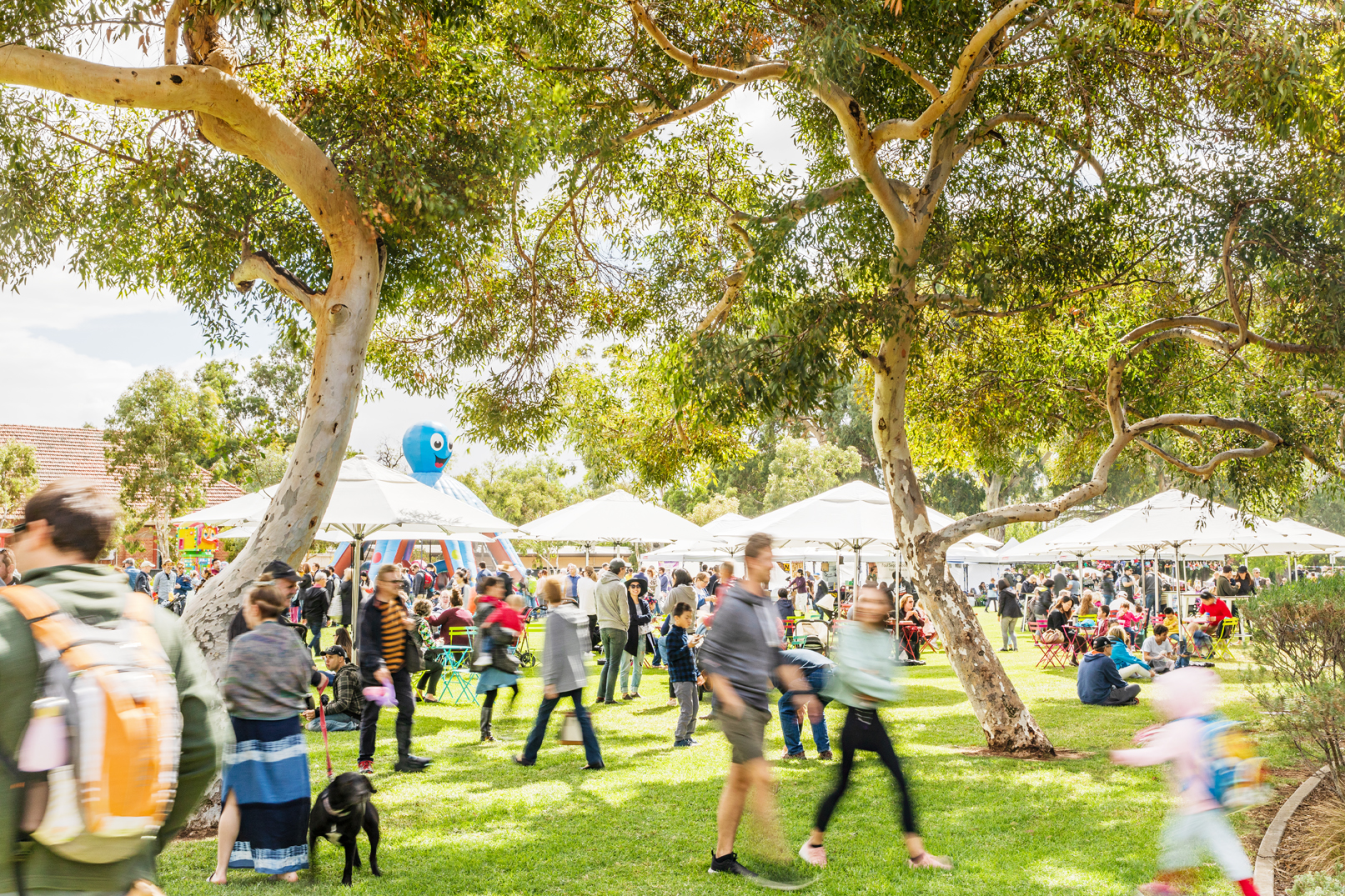 Norwood Council St Peters Fair March