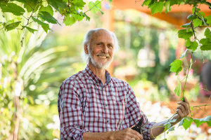 Payneham South - aWinning Sustainable Garden - November 2018-28